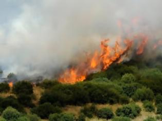 Φωτογραφία για Πυρκαγιά στη Νεάπολη Λακωνίας