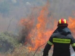 Φωτογραφία για Πυρκαγιά σε Κερατέα και Λακωνία