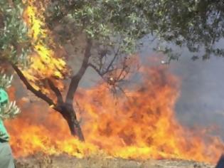 Φωτογραφία για Μεγάλη φωτιά στα Βιγκλάφια απέναντι από την Ελαφόνησο