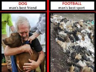 Φωτογραφία για ΑΠΑΡΑΔΕΚΤΟ:Σκότωσαν όλα τα αδέσποτα για να γίνει το EURO 2012