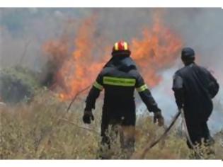 Φωτογραφία για ΣΤΙΣ ΦΛΟΓΕΣ Η ΚΕΡΑΤΕΑ