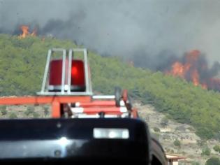 Φωτογραφία για ΣΥΝΕΧΕΙΣ ΑΝΑΖΩΠΥΡΩΣΕΙΣ ΣΤΗΝ ΚΕΡΑΤΕΑ