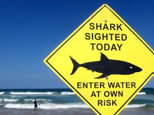 Φωτογραφία για Προειδοποίηση για εμφάνιση καρχαριών σε παραλίες της Φλόριντα μετά τον κυκλώνα εξέδωσαν οι αρχές