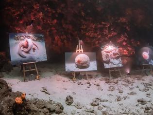 Φωτογραφία για The Underwater Gallery: Ο Ελληνικός βυθός αποκαλύπτεται με μια ανάσα