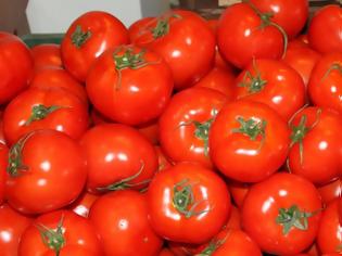 Φωτογραφία για Δεσμεύτηκαν 8 τόνοι ντομάτας Πολωνίας σε επιχείρηση στου Ρέντη