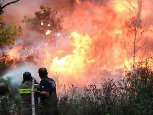 Φωτογραφία για Καταστροφικές πυρκαγιές στις μεσογειακές χώρες φέρνει η άνοδος της θερμοκρασίας!