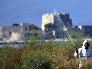 Φωτογραφία για Ιός του Δυτικού Νείλου: δύο θάνατοι, έξι κρούσματα, 12 νοσηλευόμενοι με επιπλοκές την τελευταία εβδομάδα