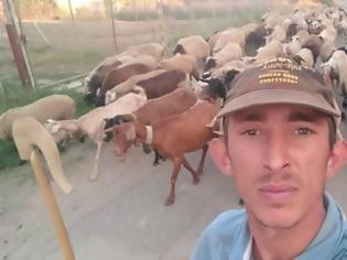 Φωτογραφία για Viral ο βοσκός από το Βαρθολομιό που τρελαίνει το Facebook με τα πρόβατά του