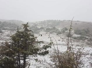 Φωτογραφία για Τα πρώτα χιόνια στα ορεινά των Τρικάλων και τα Ιωάννινα (φωτογραφίες)