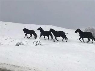 Φωτογραφία για χιονισμένα ορεινά της Ηπείρου