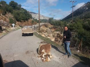 Φωτογραφία για Έπεσε βράχος στο δρόμο για τα ΒΛΥΖΙΑΝΑ | ΦΩΤΟ
