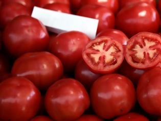 Φωτογραφία για Δεσμεύτηκε 1,5 τόνος ντομάτας σε επιχείρηση ελεγκτών τροφίμων στον Πειραιά