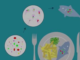 Φωτογραφία για Έρευνα σοκ αποδεικνύει ότι όλοι τρώμε... πλαστικό