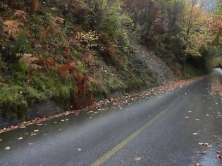Φωτογραφία για Επικίνδυνα μπορούν να γίνουν κατά την οδήγηση τα βρεγμένα φύλλα στο δρόμο