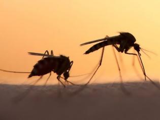 Φωτογραφία για Νέα έρευνα απαντά: Γιατί τα κουνούπια προτιμούν κάποιους ανθρώπους;