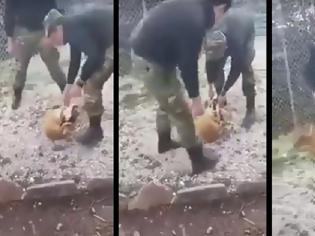 Φωτογραφία για Καταδικάστηκαν οι φαντάροι που πέταξαν σκύλο σε γκρεμό
