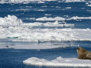 Φωτογραφία για Αρκτική: 2018... η δεύτερη πιο θερμή χρονιά από το 1900