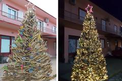 Πρωτότυπο οικολογικό Χριστουγεννιάτικο Δέντρο στο ΒΑΡΝΑΚΑ | ΦΩΤΟ