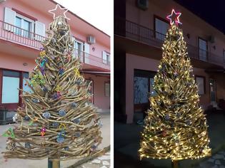 Φωτογραφία για Πρωτότυπο οικολογικό Χριστουγεννιάτικο Δέντρο στο ΒΑΡΝΑΚΑ | ΦΩΤΟ