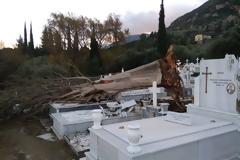 Ξεριζώθηκε δέντρο στο νεκροταφείο ΒΑΣΙΛΟΠΟΥΛΟ Ξηρομέρου - Μεγάλες υλικές ζημιές σε τάφους (φωτογραφίες)