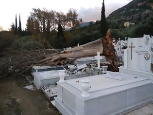 Φωτογραφία για Ξεριζώθηκε δέντρο στο νεκροταφείο ΒΑΣΙΛΟΠΟΥΛΟ Ξηρομέρου - Μεγάλες υλικές ζημιές σε τάφους (φωτογραφίες)