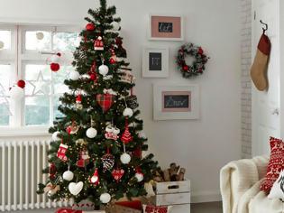 Φωτογραφία για Πόσα ζωύφια μπορεί να φέρει στο σπίτι μας ένα πραγματικό χριστουγεννιάτικο δέντρο;