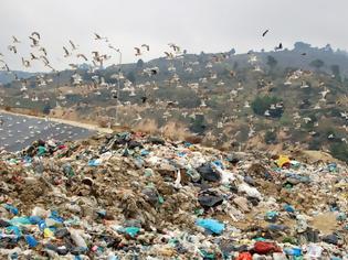Φωτογραφία για ΟΧΙ του Φορέα Ιωαννίνων στα σκουπίδια της Λευκάδας