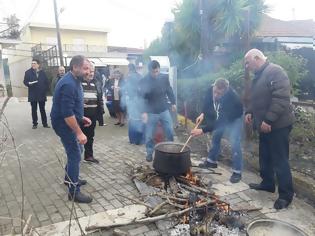 Φωτογραφία για Πραγματοποιήθηκε η Γιορτή Τσιγαρίδας στα ΠΑΛΙΑΜΠΕΛΑ | ΦΩΤΟ: Στέλλα Λιάπη