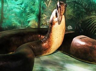 Φωτογραφία για Τιτανοβόας: Το μεγαλύτερο φίδι της ιστορίας έφτανε σε μήκος τα 13 μέτρα και σε βάρος τους 1,2 τόνους