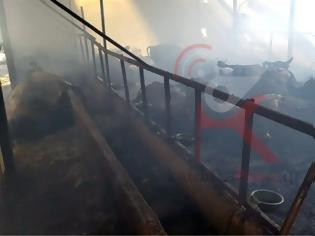 Φωτογραφία για Σκληρές εικόνες: Κάηκαν 100 ζώα σε στάβλο στο Μουζάκι Καρδίτσας