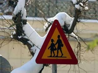 Φωτογραφία για Κλειστά τα σχολεία στο Δήμο Πέλλας για αύριο Τρίτη