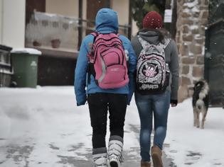 Φωτογραφία για Αττική: Σε ποιους δήμους θα είναι κλειστά τα σχολεία λόγω καιρού