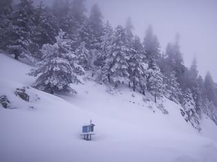 Φωτογραφία για Ο «Φοίβος» χτύπησε την Ήπειρο - Συνεχής χιονόπτωση στα ορεινά, καταιγίδες και πλημμύρες στα πεδινά