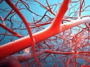 Φωτογραφία για Τέλεια αιμοφόρα αγγεία δημιούργησαν οι επιστήμονες στο εργαστήριο!