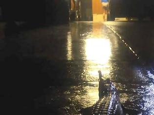 Φωτογραφία για Πλημμύρισε το Κουίνσλαντ - Βγήκαν οι κροκόδειλοι στους δρόμους!