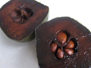 Φωτογραφία για Diospyros digyna: ένα φρούτο με γεύση σοκολάτας!