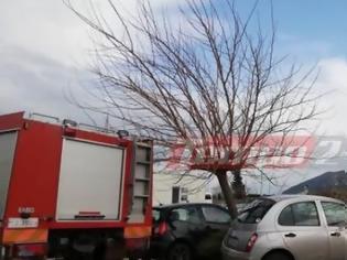 Φωτογραφία για Δυτική Ελλάδα: Τεράστιο δέντρο έπεσε σε αυτοκίνητα στο πάρκινγκ του Πανεπιστημιακού Νοσοκομείου – Από θαύμα δεν θρηνήσαμε θύματα – Μεγάλη επιχείρηση της Πυροσβεστικής (ΔΕΙΤΕ ΦΩΤΟ)