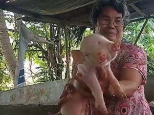 Φωτογραφία για Γουρούνι «τέρας» στις Φιλιππίνες: Γεννήθηκε με δύο κεφάλια, δύο μουσούδες και τρία μάτια