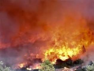 Φωτογραφία για H ΠΟΕΥΠΣ για το πόρισμα της Επιτροπής Διαχείρισης Πυρκαγιών Δασών και Υπαίθρου