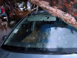 Φωτογραφία για Νέα Σμύρνη: Επεσε δέντρο από τον αέρα και καταπλάκωσε 12 οχήματα