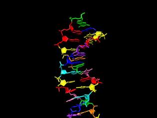 Φωτογραφία για Δημιουργήθηκε για πρώτη φορά DNA με οκτώ «γράμματα» του γενετικού αλφαβήτου