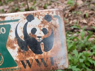 Φωτογραφία για H WWF κατηγορείται ότι χρηματοδοτούσε παραστρατιωτικές ομάδες που σκότωναν και βίαζαν