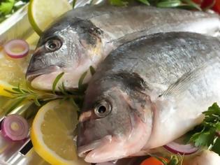 Φωτογραφία για Πότε τα ψάρια και τα θαλασσινά κάνουν κακό στην υγεία;