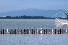 Καταδίωξη για κλέφτες... ψαριών σε λιμνοθάλασσα της Πρέβεζας