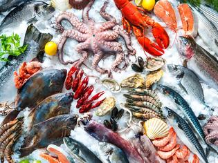 Φωτογραφία για Δεκαπέντε λόγοι για να τρώμε θαλασσινά