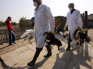 Φωτογραφία για Βουλγαρία: Εστία γρίπης των πτηνών εντόπισαν και εξολόθρευσαν οι αρχές