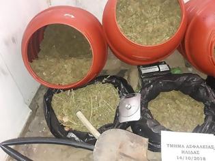 Φωτογραφία για Μεγάλο κύκλωμα ναρκωτικών στην Ηλεία-πωλούσαν και στην Αιτωλοακαρναν