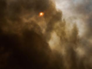 Φωτογραφία για Φωτιά έκαψε 20 στρέμματα στο ΔΡΥΜΟ Βόνιτσας