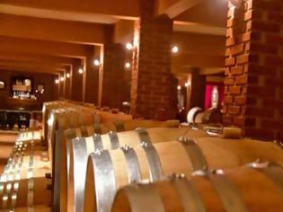 Φωτογραφία για Εκλεψαν 300 φιάλες σπάνιου κρασιού από οινοποιείο στο Κιλκίς