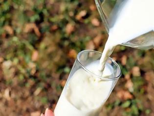 Φωτογραφία για Ο ΕΦΕΤ συμβουλεύει: Πώς θα καταλάβετε αν τα γαλακτοκομικά που αγοράζετε φτιάχνονται από ελληνικό γάλα;